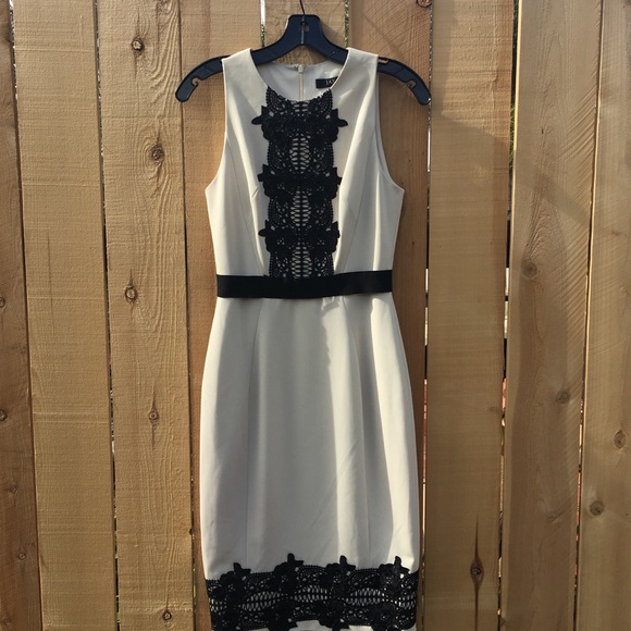 Jaxx, Dress .. new never worn,, black and cream” - Picture 2 of 4